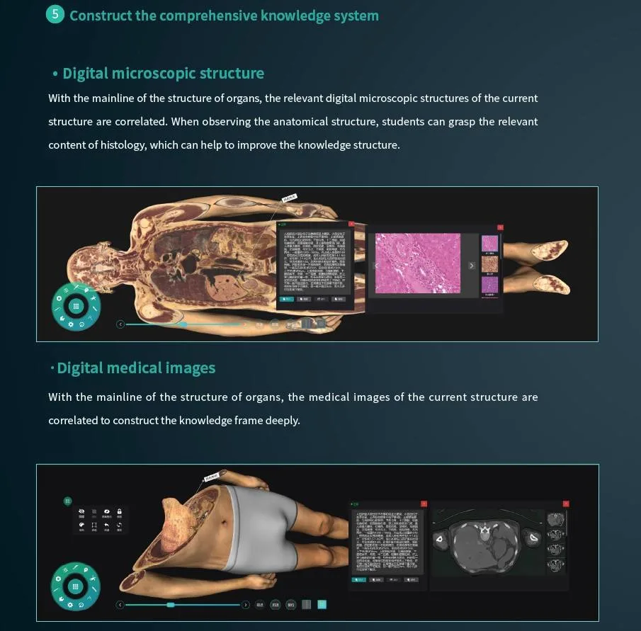 Cheap Price New Autopsy School 3D Virtual Anatomy Dissection Table for University