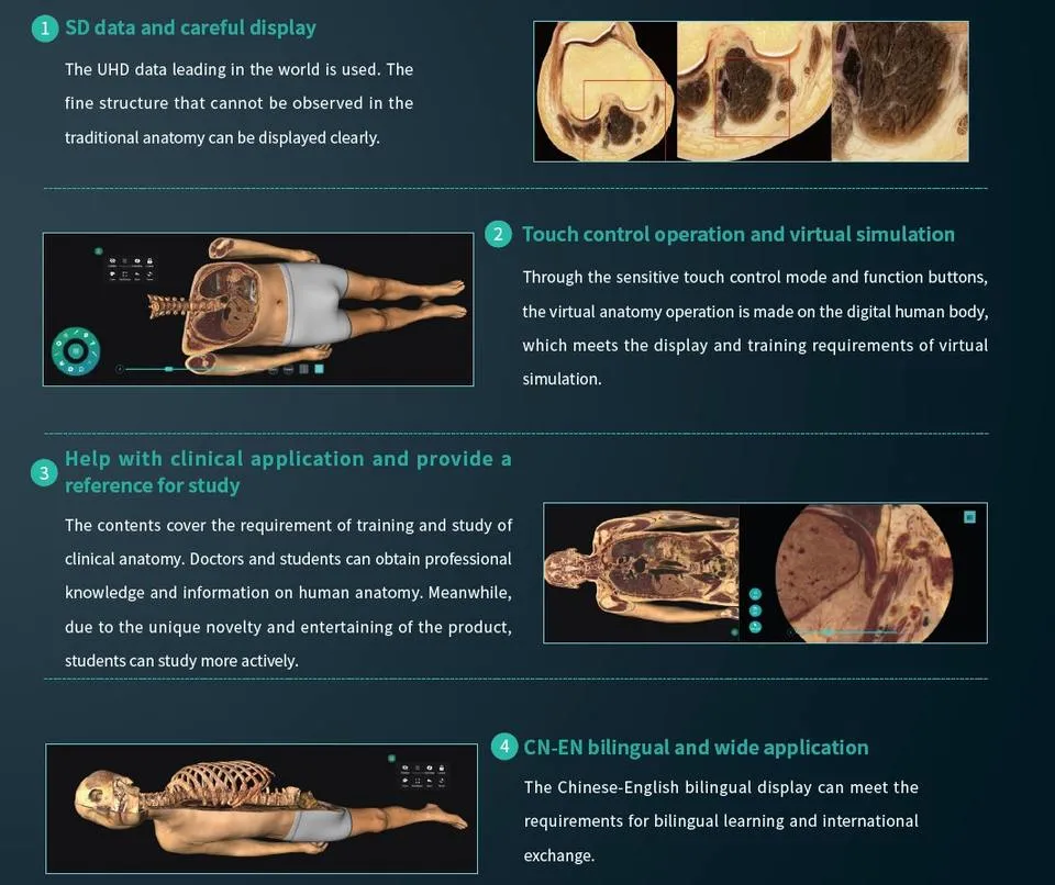 Cheap Price Virtual Autopsy New Education 3D Medical for School Anatomy Dissection Table