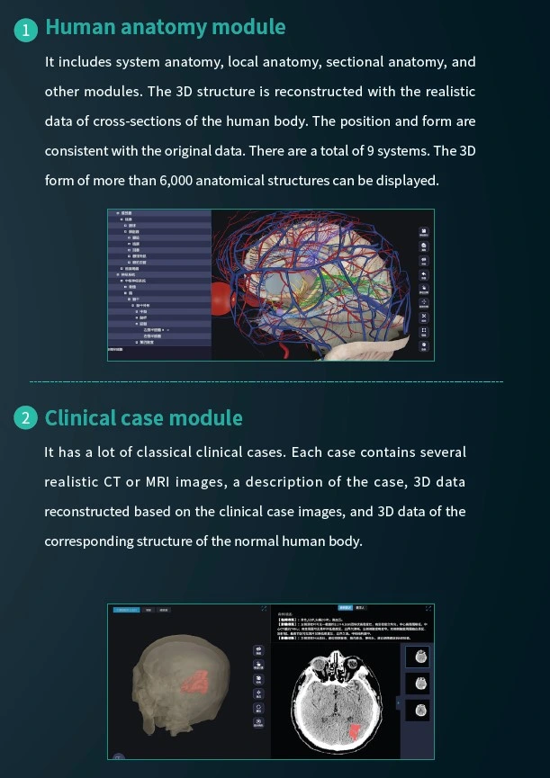 Fashion New Digital Human Anatomy System Anatomage 3D Body Virtual Autopsy Table