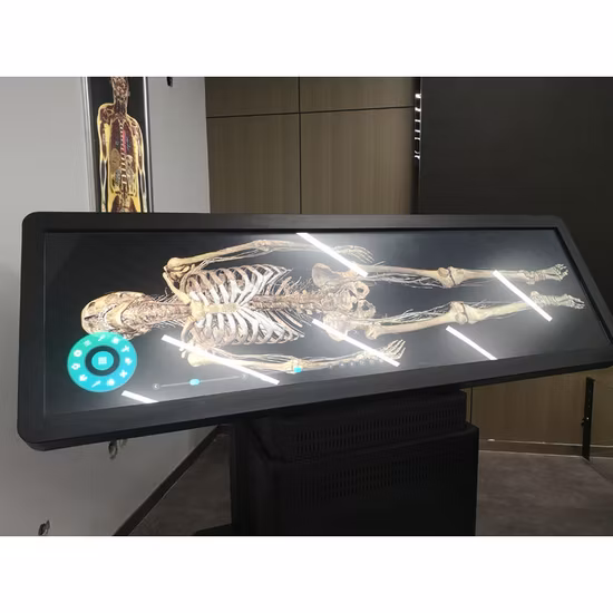 ファッション新しいデジタル人体解剖学システム Anatmage 3D ボディ仮想解剖テーブル